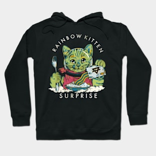 Rainbow Kitten Surprise Hoodie